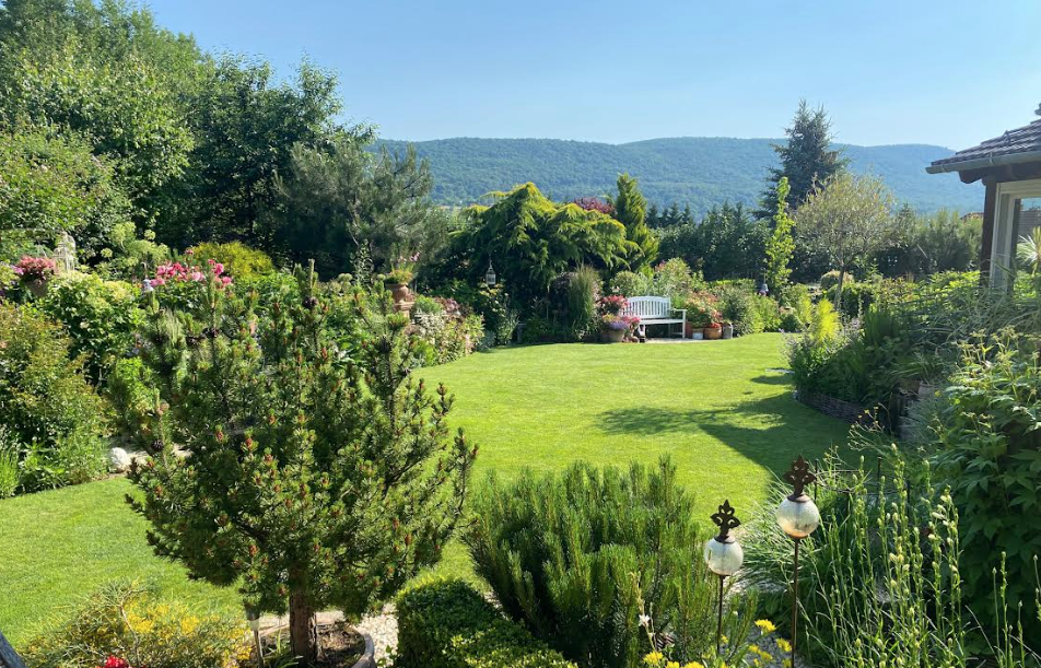 robotfűnyíró nyári gyepápolás